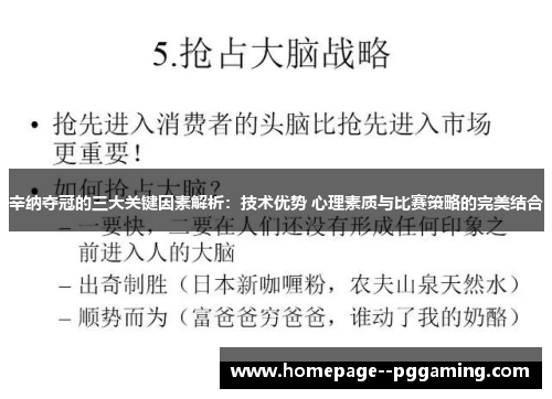 辛纳夺冠的三大关键因素解析：技术优势 心理素质与比赛策略的完美结合
