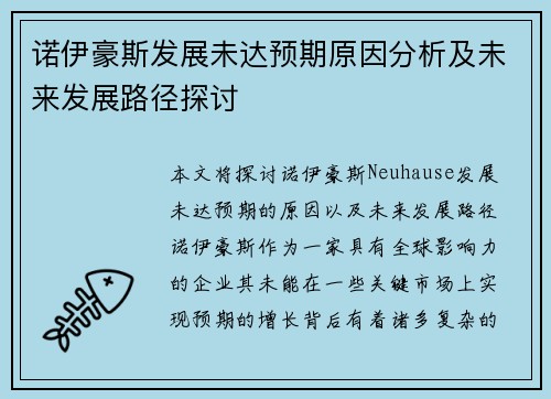 诺伊豪斯发展未达预期原因分析及未来发展路径探讨 诺伊豪斯发展未达预期原因分析及未来发展路径探讨